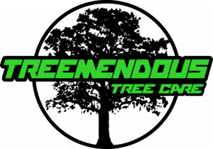 Treemendous Tree Care Logo Color@5x
