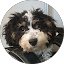 Peggie Hawes profile picture