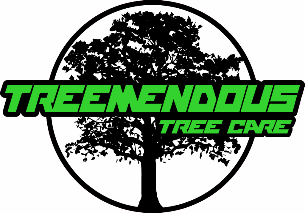 Treemendous Tree Care Logo Color@5x