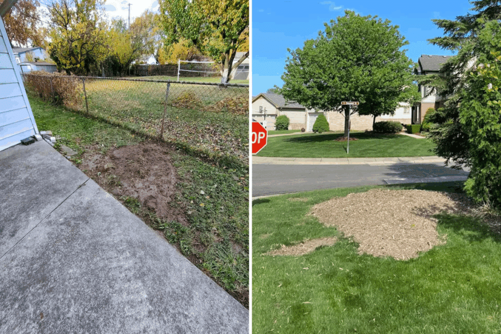Customer Results Tree Stump Grinding Services Treemendous Tree Care Michigan