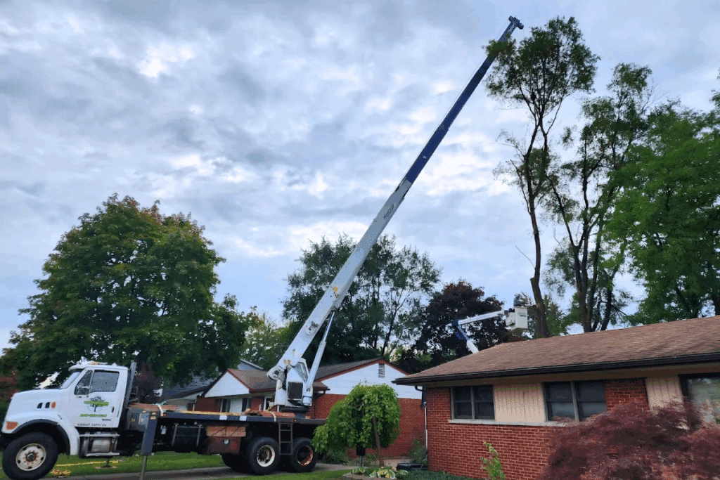 Licensed Insured Crane Assisted Tree Removal Tree Care Treemendous Tree Care Michigan