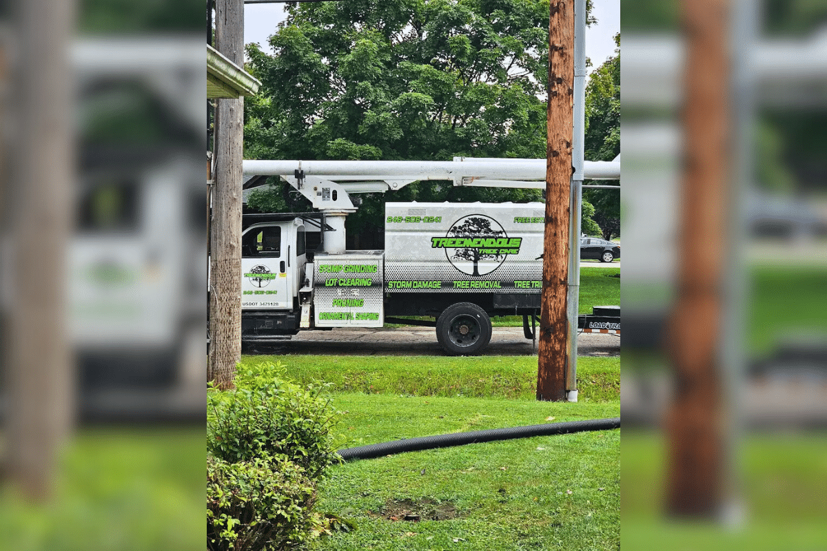 Local Tree Services Treemendous Tree Care Michigan