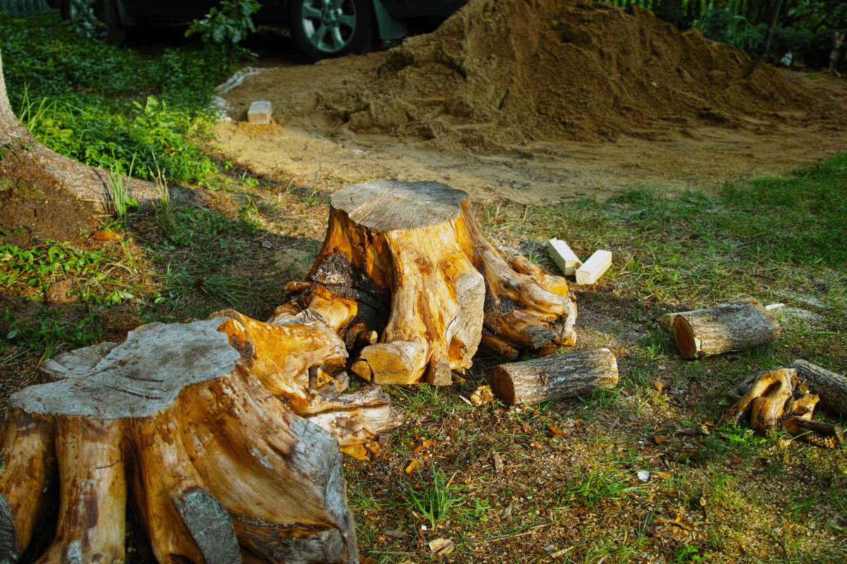 Removal Tree Stump Grinding Services Treemendous Tree Care Michigan