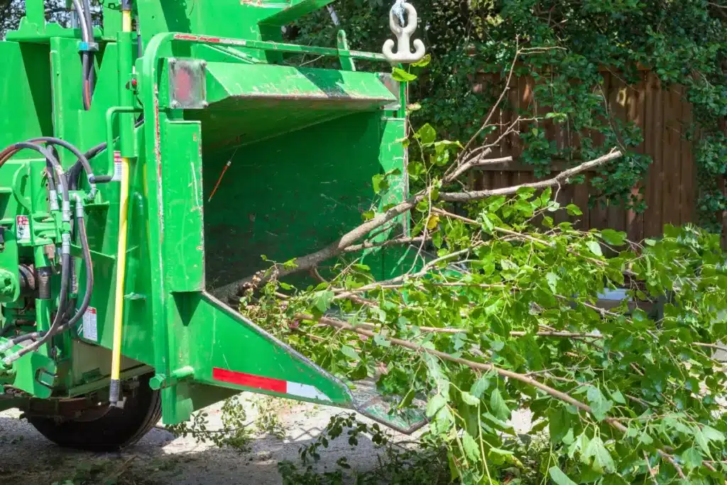 Tree Service Treemendous Tree Care Michigan