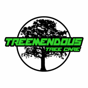 Picture of Treemendous Tree Care